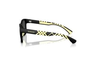 Seitenansicht Burberry JB4007U (346487)