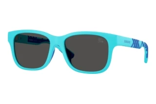 Vorderansicht Burberry JB4007U (423587)