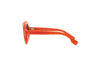 Seitenansicht Burberry JB4386 (393887)