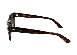 Seitenansicht Calvin Klein CK21528S (220)