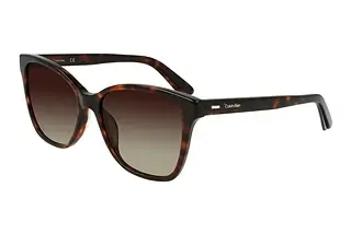 Calvin Klein CK21529S 220