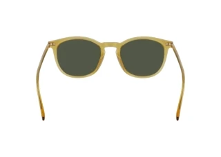 Rückansicht Calvin Klein CK22533S N (729)