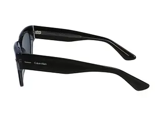 Seitenansicht Calvin Klein CK23509S (059)
