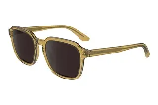 Calvin Klein CK23533S 208