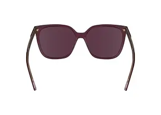 Rückansicht Calvin Klein CK24509S (613)