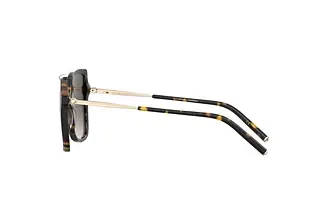 Seitenansicht Carolina Herrera HER 0179/S (2IK/HA)