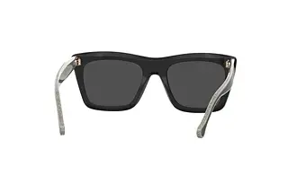 Rückansicht Carolina Herrera HER 0226/S (BSC/IR)