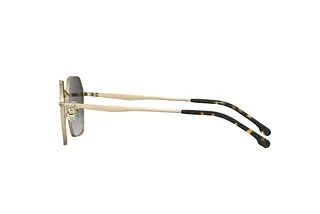 Seitenansicht Carrera CARRERA 334/S (AOZ/9K)