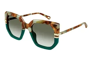 Chloé CH0240S 005 HAVANA