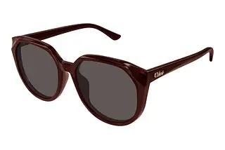Chloé CH0291SK 002