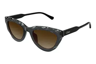 Chloé CH0294S 005 GREY