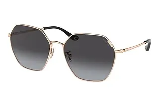 Coach C7998 HC 7132 93318G