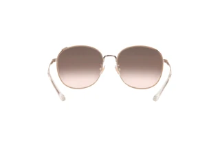 Rückansicht Coach C7996 (HC7134 - 93318Z)