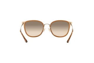 Rückansicht Coach C7999 (HC7135 - 565413)