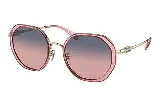 Coach CD477 HC 7141 90050J