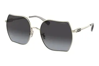 Coach HC7142 90058G Grey GradientShiny Light Gold
