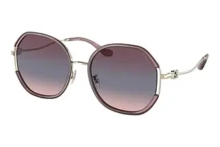 Coach CD452 HC 7144BD 94160J
