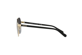 Seitenansicht Coach CH556 (HC7147 - 90058G)