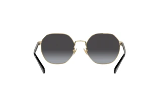 Rückansicht Coach CH556 (HC7147 - 90058G)