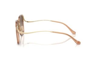 Seitenansicht Coach CL905 (HC7157D - 556174)