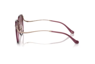 Seitenansicht Coach CL905 (HC7157D - 58013P)