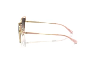 Seitenansicht Coach CR621 (HC7162 - 900546)