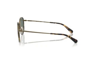 Seitenansicht Coach CR631 (HC7163 - 933371)