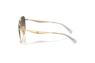 Seitenansicht Coach CW193 (HC7169 - 900518)