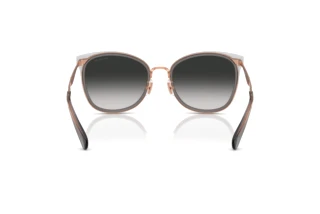 Rückansicht Coach CW185 (HC7170 - 94543C)