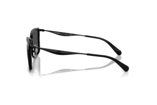 Seitenansicht Coach CW226 (HC7171 - 934487)