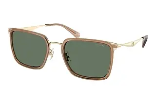 Coach HC7171 94563H Green SolidLight Gold/Sand