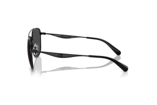 Seitenansicht Coach CW404 (HC7172 - 939387)