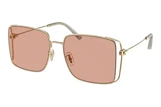 Coach HC7174D 900584 Blush SolidShiny Light Gold