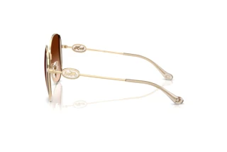 Seitenansicht Coach CAD73 (HC7176B - 900574)