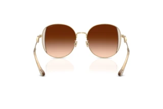 Rückansicht Coach CAD73 (HC7176B - 900574)