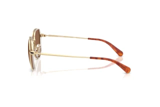 Seitenansicht Coach CAE81 (HC7179 - 900573)