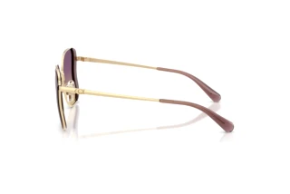 Seitenansicht Coach CDP51 (HC7188 - 900570)