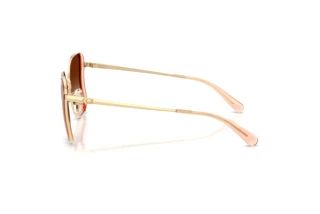 Seitenansicht Coach CDP51 (HC7188 - 900574)