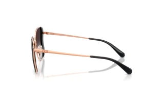 Seitenansicht Coach CDP51 (HC7188 - 94078G)