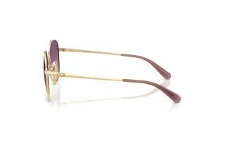 Seitenansicht Coach CDP39 (HC7189 - 900570)