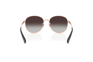 Rückansicht Coach CDP39 (HC7189 - 94078G)