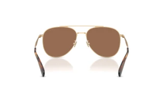 Rückansicht Coach CDP40 (HC7190 - 900513)