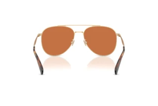 Rückansicht Coach CDP40 (HC7190 - 900573)