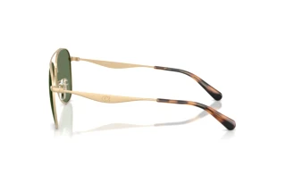 Seitenansicht Coach CDP40 (HC7190 - 900582)