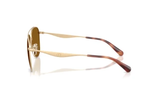 Seitenansicht Coach CDP40 (HC7190 - 900583)