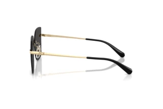 Seitenansicht Coach CDP45 (HC7193D - 900587)