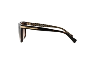 Seitenansicht Coach L109 (HC8132 - 529113)