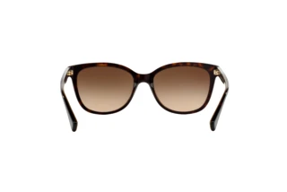 Rückansicht Coach L109 (HC8132 - 529113)