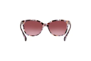 Rückansicht Coach L109 (HC8132 - 55488H)