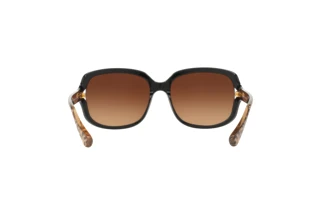 Rückansicht Coach L149 (HC8169 - 535313)